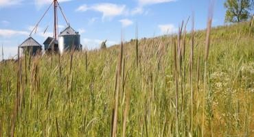 NRCS Announces Additional Conservation Funding Opportunities for Delaware Farmers and Landowners