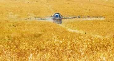 So-called 'Safe' Pesticides have Surprisingly Ill Effects