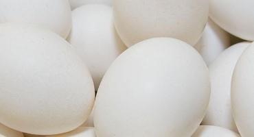 Egg Prices Responding To High Demand, Lower Supply