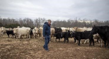 An Activist Group Is Spreading Misinformation To Stop Solar Projects In Rural America