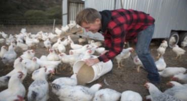 Small Ranchers Struggle with Rising Costs and Keeping Food Affordable
