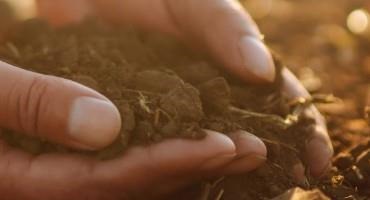 Soil Nutrient Management: The Art of Sustainable Science