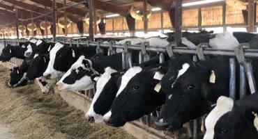 U.S. Dairy Exports Set A Record For Value, Volume