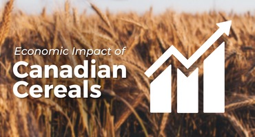Are Cereal Grains Better Than Canola for Canada? 