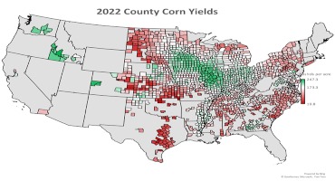 Best And Worst County Corn Yield Averages In 2022