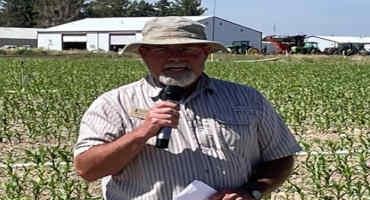 UI Researcher Boosts Corn Silage Yields By Interplanting Cover Crops