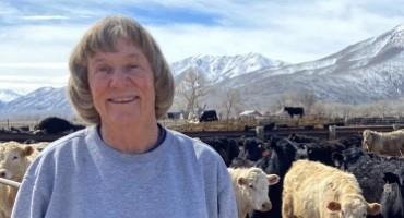 Livestock producers in Mountain West in grip of winter’s weather