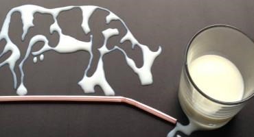 'No Apparent Health Rationale' for Recommending Cow’s Milk Over Plant-Based Milks, Finds New Narrative Review