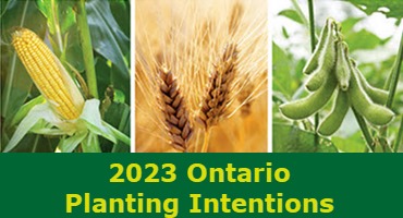 2023 expected to be a bumper year with total Ontario planted acreage up over 1 percent