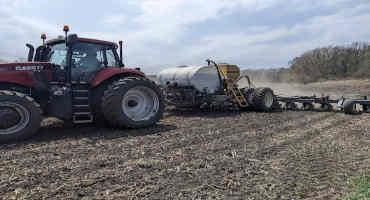 Starter Fertilizer For Corn: 5 Things To Know