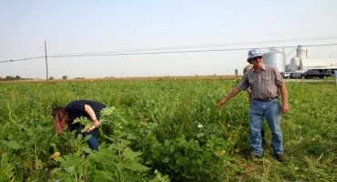 Ohio Farmers Get a Boost for Conservation Efforts