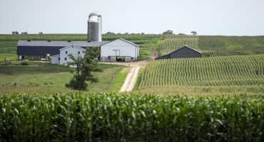From Dairy Pricing to Private Well Testing, Wisconsin Farmers, Lawmakers Have Eye on Next Farm Bill