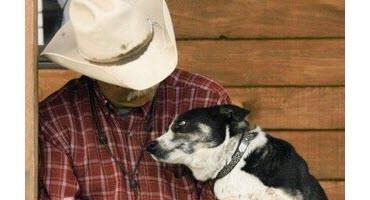 Meet Tough: The 2023 American Farm Bureau Farm Dog of the Year
