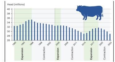 USDA Reports Beef Cow Herd Near Record Low