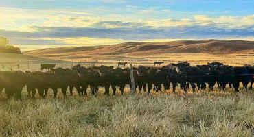 15,500-Acre Nebraska Sandhills Ranch Sells to Colorado Family After Less Than a Month on the Market