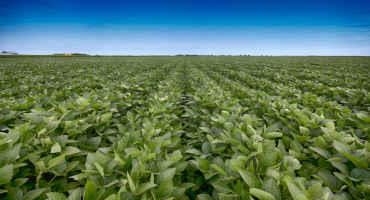 Crop Progress: Soybean Planting Underway in Nebraska
