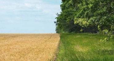 'Regenerative Agriculture' is All the Rage—but It's Not Going to Fix Our Food System, Says Researcher