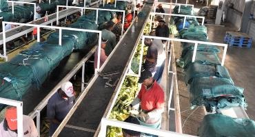 Seasonal Agricultural Workers Program gets a nod of approval