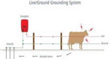 Considerations for Selecting & Installing an Electric Fence Charger