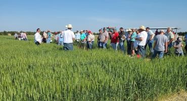 Wheat Variety Trial Field Tours Across Nebraska in June