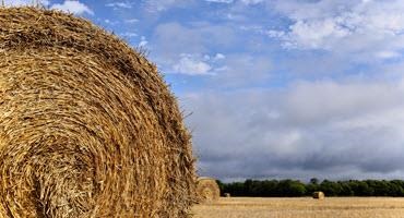 Missouri Dept. of Ag warns farmers of hay scam