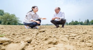 New UD Study Evaluates How Climate Shocks Impact the Planted and Harvested Areas for Crops