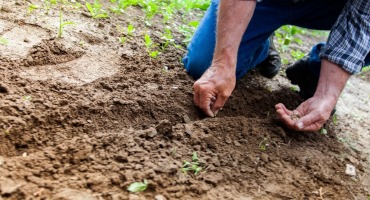 Ohio Farmers Are Entering a New Market: the Carbon Trade