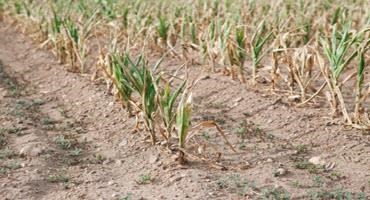 Farmers in multiple states dealing with drought