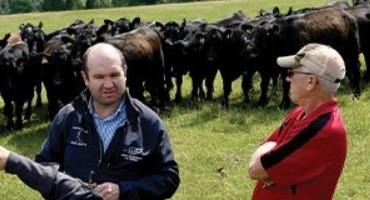 Brexit has Been a Bust