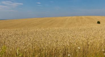 Russia Withdraws From Turkey-U.N. Brokered Grain Deal