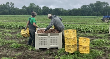 Vermont Farmers Reckon With Total Crop Loss Following Floods