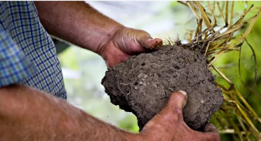 Poll Shows 82% of People Support Incentives to Farmers for Soil Health