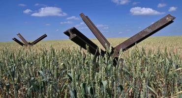 Russia's Nixing of Ukraine Grain Deal Deepens Worries About Global Food Supply