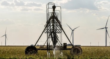 As Texas Swelters, Crops and Cattle Are Increasingly at Risk