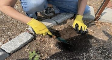 Philadelphia Soil Project Signals Largely Positive Findings for Urban Growers