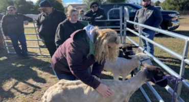 MSU Extension Offers Training for First Responders and Others on How to Effectively Respond to Accidents Involving Livestock