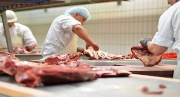 The Ontario and federal governments are driving growth in the meat processing sector