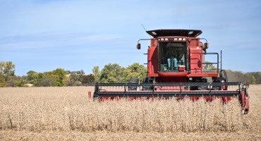 U.S. Farmers Are Facing a Tough Economy: Lower Crop Prices and Higher Interest Rates