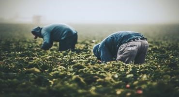 Migrant farm workers finally receive compensation