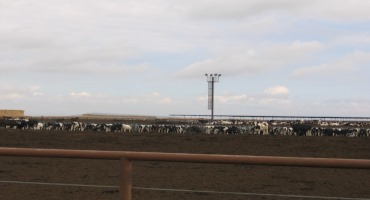 Oregon’s New SB 85 Will Further Regulate Water Use on Big Livestock Operations