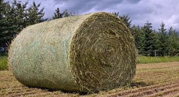 Searching for hay bales in Missouri just got easier