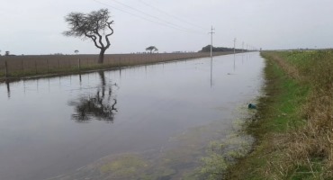 Farming Is Intensifying Floods in the South American Plains