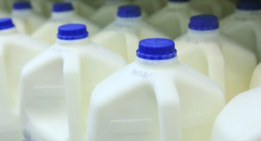 Milk Margins Hit Lowest Level Since 2019 Dairy Margin Coverage Authorization