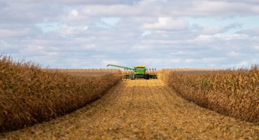 Heat Stress to Bring Big Changes to the US Corn Belt