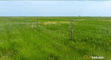 Upcoming land auction features 10,000+ Sask. acres
