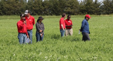 Nebraska Pulse Crops Conference Scheduled at Two Locations