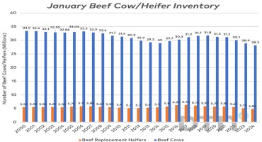 Jan. 1 Cattle Inventory Down 2%