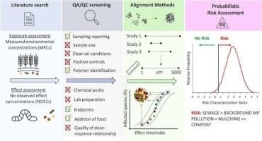 Microplastics in Soils: First Consistent Risk Assessment