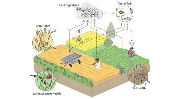 Robots, Monitoring and Healthy Ecosystems Could Halve Pesticide Use Without Hurting Productivity