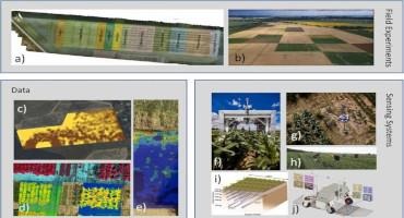 Identifying Priorities to Leverage Smart Digital Technologies for Sustainable Crop Production